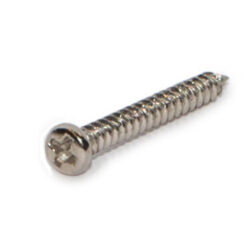 WARWICK SCREW FOR PICKUP FRAMES CHROME 2,2 X 19 MM