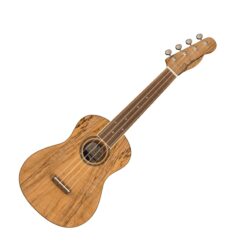 FENDER ZUMA EXOTIC CONCERT UKULELE SPALTED MAPLE