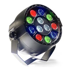 STAGG ECOPAR XS SPOTLIGHT WITH 12 X 1-WATT R/G/B/W LED