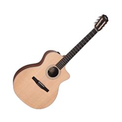 Taylor-214ce-N nylon