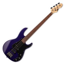 ESP LTD AP-204 ELECTRIC BASS GUITAR DARK METALLIC PURPLE