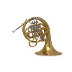 HOLTON FRENCH HORN FOR CHILDREN HR650F