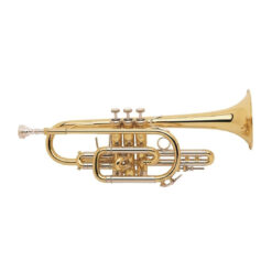 VINCENT BACH BB-CORNET 181 STRADIVARIUS