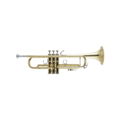 VINCENT BACH BB-TRUMPET LR180-37 STRADIVARIUS