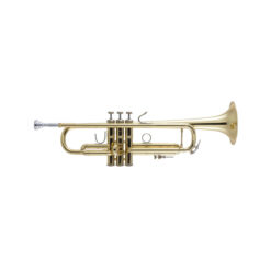 VINCENT BACH BB-TRUMPET LR180-43 STRADIVARIUS