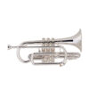 Vincent Bach Bb-Cornet 184s Stradivarius