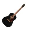 GRETSCH JIM DANDY DELTOLUXE DREADNOUGHT BLACK TOP