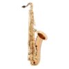 YANAGISAWA Bb-TENOR SAXOPHONE T-WO2