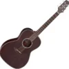 TAKAMINE GY21E-SM SATIN MOLASSES