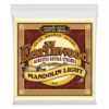 ERNIE BALL EARTHWOOD MANDOLIN LIGHT LOOP END BRONZE ACOUSTIC GUITAR STRINGS 9-34 GAUGE